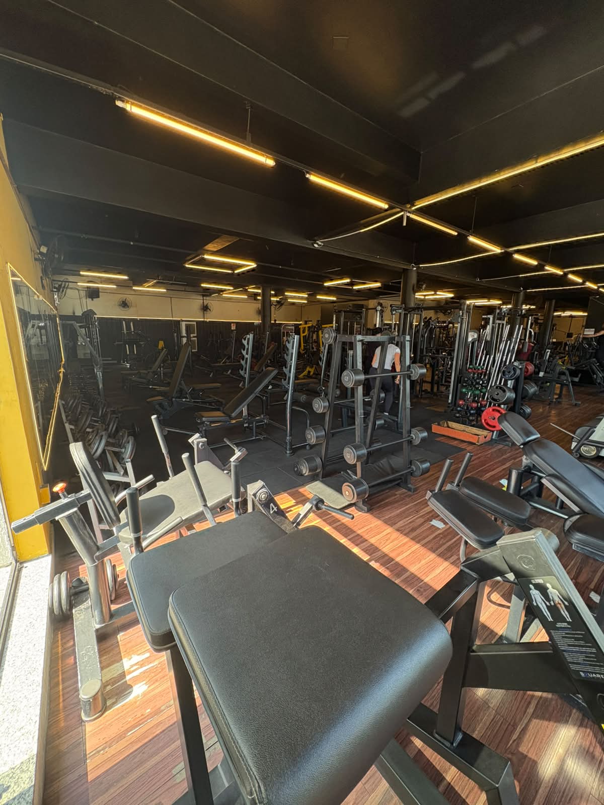 Gaiolas de Agachamento e Leg Press